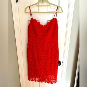 J Crew Red Guipure Lace Scalloped Trim Dress size 12 Cocktail Party Sheath
